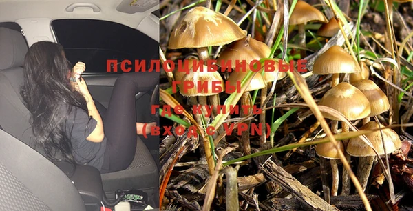 гидропоника Абинск