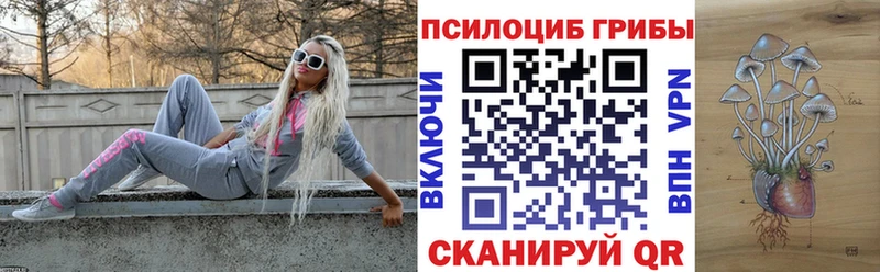 KRAKEN как войти  Иннополис  Псилоцибиновые грибы прущие грибы 
